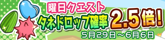 曜日クエスト「タネドロップ確率2.5倍キャンペーン」開催のお知らせ