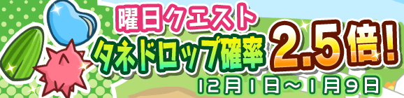 曜日クエストタネドロップ確率2.5倍キャンペーン開催のお知らせ